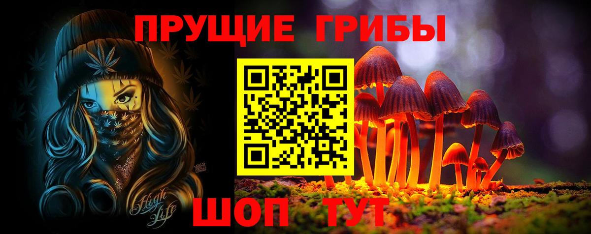 Галлюциногенные грибы прущие грибы  Вход с VPN  Луховицы  Псилоцибиновые грибы Cubensis 